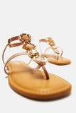 Amozae-Always Adored Flat Sandals - Camel