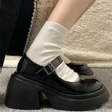 Amozae-Platform Mary Jane Shoes 2024 New Women's Shoes Women Thick Heels Trendy Street Lolita Shoes Round Toe Ankle Strap  Pumps-Platform boots