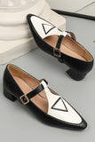 Amozae-Contrast Pointed Toe Mary Jane Shoes