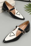 Amozae-Contrast Pointed Toe Mary Jane Shoes