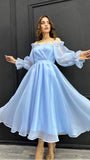 Amozae-Cyber Monday Christmas party outfits Vintage A Line Strapless Light Sky Blue Organza Prom Dresses Evening Dress C3080