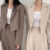 business casual outfits for women Chic Elegant Lapel Two-Button Long Sleeve Short Coat + High Waist Wide Leg Mopping Suit Trousers Suit