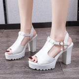 Amozae-Ladies High Thick Heel Shoes Wedge Sandal With Platform Woman Summer Dress Sandals 2024 New Women Shoe Female