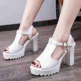 Amozae-Ladies High Thick Heel Shoes Wedge Sandal With Platform Woman Summer Dress Sandals 2024 New Women Shoe Female