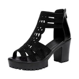 Amozae-Lady Platform Sandals Chunky High Heel Open Toe Heels Zip Up Shoes Party Dress Shoes for Girls