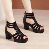 Amozae-Lady Platform Sandals Chunky High Heel Open Toe Heels Zip Up Shoes Party Dress Shoes for Girls