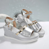Amozae-Fashion Silver Wedge Heels Sandals for Women Summer 2025 Chunky Platform Beach Sandals Woman Ankle Strap Thick Sole Sandalias