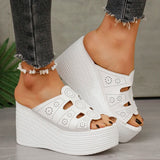Amozae-Fashion Hollow Out Wedge Heel Sandals Women Peep Toe Chunky Platform Sandals Woman Summer Anti Slip Thick Bottom Beach Slippers