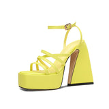 Amozae-Dior Platform Chunky Heel Strappy Sandals