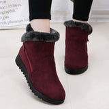 Amozae-Back to College Winter ankle boots women shoes 2024 new fashion non-slip warm plush zipper Casual shoes woman snow boots Dropshipping