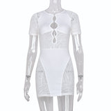 Amozae--hoco dresses  Hirigin Cut Out   Zebra Mesh Transparent Women's Mini Dress For Beach Holiday Night Club Party Bodycon Pencil Short Dresses